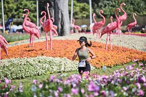 BIB: 
                            <button type="button" onclick="openModal(27794362)" class="btn btn-primary btn-sm float-right btn-popup" data-toggle="modal" data-target=".modal-high-quality">
                        <i class="fas fa-shopping-cart"></i> Add to Cart
                    </button>
                                            <button type="button" onclick="isThisMe(27794362, true)" class="btn btn-success btn-sm float-right btn-popup btn-isme hidden" data-toggle="tooltip" data-placement="bottom" title="นี่คือรูปของคุณใช่ไหม คลิกที่นี่เพื่อเอาเข้าอัลบั้ม">
                        <i class="fas fa-plus"></i> Add to album
                    </button>
                    <button type="button" onclick="isThisMe(27794362, false)" class="btn btn-warning btn-sm float-right btn-popup btn-isnotme hidden">
                        <i class="fas fa-ban"></i> Remove from album
                    </button>